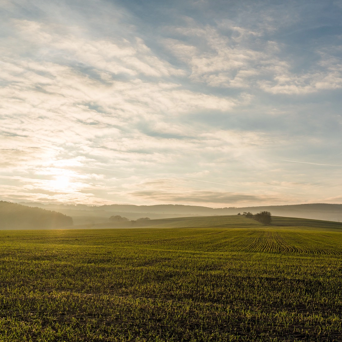 farmland